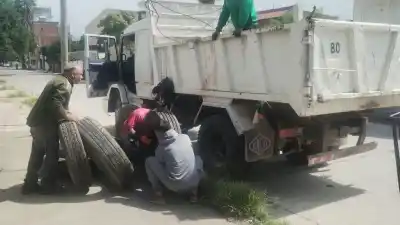 Jujuy sigue libre de dengue, pero el mosquito no descansa: el plan barrio por barrio