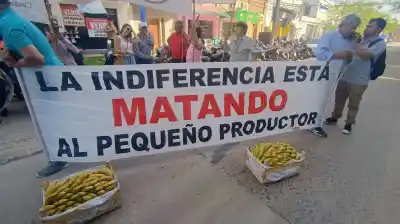 Hartos de que la banana se pudra en el campo, saldrán a regalar 5.000 kilos en una ruta de Formosa