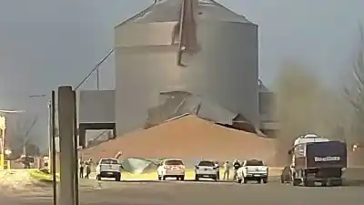 Un silo de 30 metros desapareció en Lonquimay y el maíz quedó desparramado
