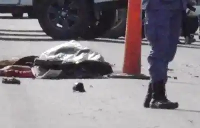 Iba en moto, chocó contra una vaca y la caída lo dejó tendido en medio de la ruta: lo que venía detrás fue fatal