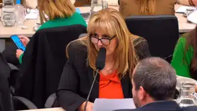 Salta expuso en el Congreso y reveló qué pasa con miles de trámites de pensiones por discapacidad
