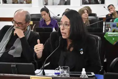 «Se ve el deterioro del nivel de vida»: la diputada Flores apuntó a la Legislatura y contó qué encontró en el territorio