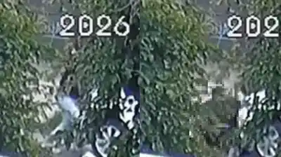 El video que complica todo: ¿Qué mató realmente al ladrón en la casa de “Ponte Perro”?