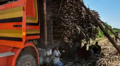 Ocho argentinos sentados en el banquillo en Bolivia: lo que decidió la jueza los dejó sin palabras