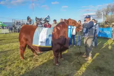 Don Fioto se llevó el Gran Campeón en Viedma y su criador avisa: "La vara está cada vez más alta"