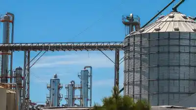 Los biocombustibles ya tienen media sanción: cuánto dinero podría llegar a Córdoba