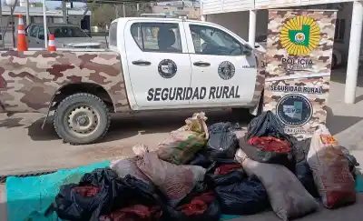 Frenaron un camión en la ruta 151 y el olor los llevó directo a la carga