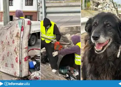 Retiraron colchones y basura del canal de Vicente López y Constitución: lo que encontraron adentro