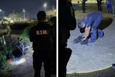 Un perro cayó en un desagüe y nadie imaginó quién bajaría a buscarlo
