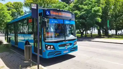 Vuelve la Línea de la Costa para el Día de la Primavera: mirá hasta qué hora circula