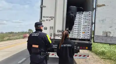 Un camión que salió de Misiones con 31 toneladas de frutas terminó en un control que lo cambió todo