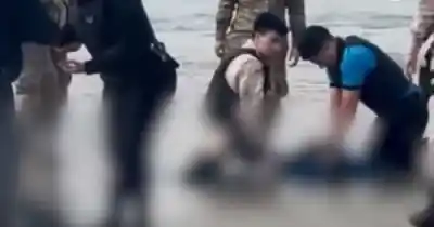 La rescataron del mar en Comodoro y lucharon por revivirla: el desenlace que nadie esperaba