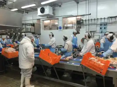 Pollos en vez de plata: la insólita oferta de una avícola a sus trabajadores de Pilar