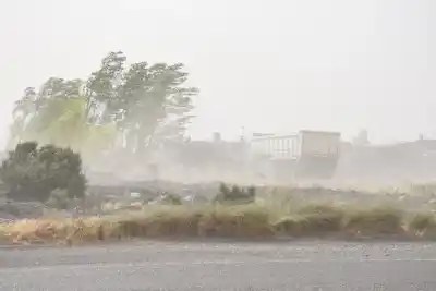 Alerta amarilla en Roca: el viento que se viene y el dato que preocupa a todos