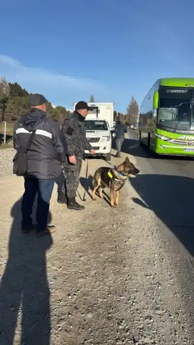 Operativos con perros detectores en Bariloche: el resultado que nadie esperaba