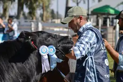 “La ganadería de Río Negro muestra una genética que mejora año a año”: el balance de un dirigente rural en plena Expo de Conesa
