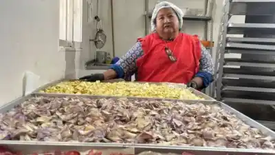 Una cooperativa de Maimará se metió entre las mejores del mundo y ahora depende de un video