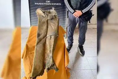 Dos hombres ofrecieron una pieza de bronce en un local de compra y venta: lo que pasó después los delató