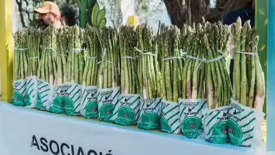 El viento Zonda se metió en la fiesta más esperada de Médano de Oro: la nueva fecha que nadie tenía en el calendario