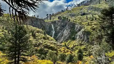 Te ofrecen un lote en Pulmarí a buen precio: por qué puede salirte muy caro