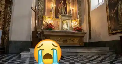 Una peregrina de cuatro patas se durmió en la Catedral y ahora todos la buscan