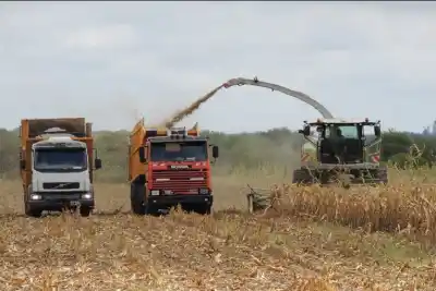 La ley ambiental que regía desde 1978 quedó atrás: qué cambia para quien produce en Entre Ríos