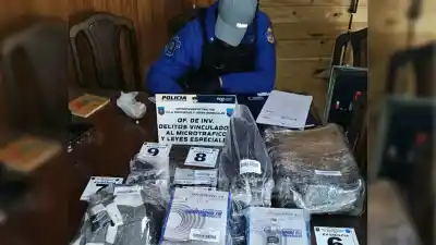 Allanamientos en Neuquén: los agentes buscaban una consola robada y se toparon con algo mucho más peligroso