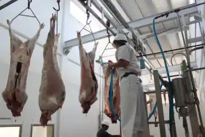 Entraron a controlar el Matadero de Sauce y un asesor los frenó en seco: "No pueden presionar a los trabajadores"