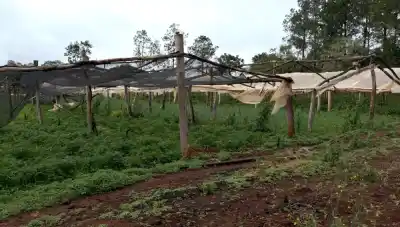 El campo misionero en alerta: el dato clave que anticipa un ciclo intenso