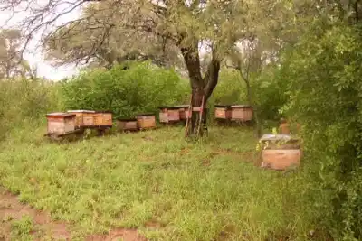 Entre Ríos se mete en la negociación que puede abrir mercados para el campo orgánico