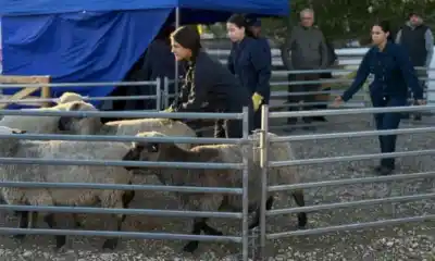 Chubut reúne a sus escuelas agrotécnicas en Trevelin: qué se viene en las dos jornadas