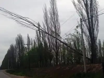El viento tumbó un árbol sobre los cables y un barrio de Roca quedó a oscuras