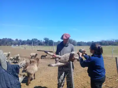 Cortaderas: 257 animales recibieron atención sanitaria gratuita, pero hay un dato que pocos conocen