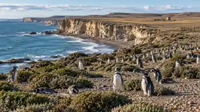 Criaban 40.000 ovejas: hoy el campo más famoso de Santa Cruz es otro