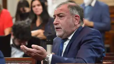 El senador que apoya a Milei pero le marcó un límite: "No es un tema canjeable"