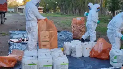 Lo que hacían con los envases de agroquímicos en Viedma y casi nadie ve