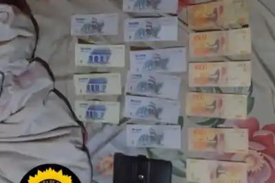Sospechó que le faltaba plata en su casa, instaló una cámara y la escena la dejó helada