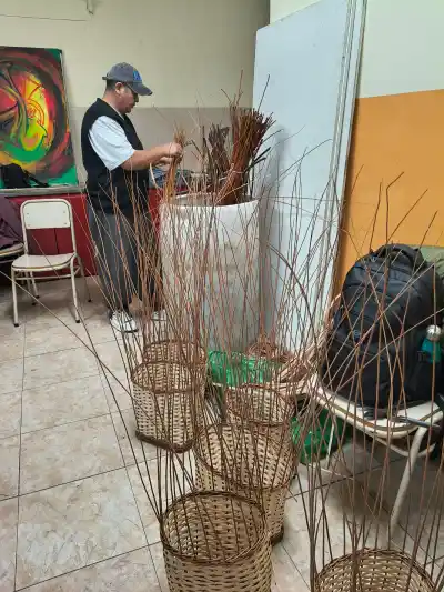 General Pico se queda sin artesanos de junco: dos maestros llegan para revivir el oficio