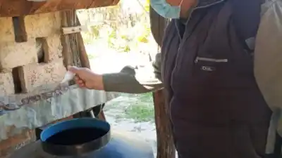 Recorren Palo Santo casa por casa: el detalle que muchos vecinos pasan por alto en el patio