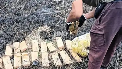 Un llamado a la comisaría destapó lo que había en la banquina de la ruta 11