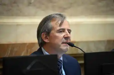 El pedido de Bahl en el Senado que puede cambiar la atención de emergencias en todo el país