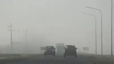 Neuquén se blinda para un domingo feroz: ráfagas de casi 100 km/h y nieve en la cordillera