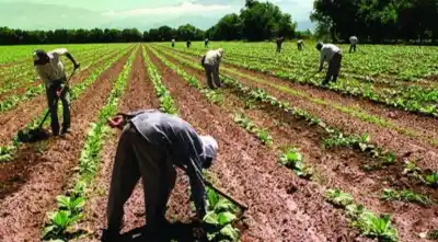 Salta perdió 14.680 empleos registrados: el dato que nadie esperaba en plena era minera