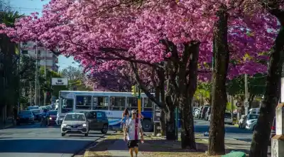 El calor se adelanta en Salta: el dato que sorprende a días del Día de la Primavera