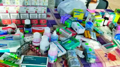 Vendían clonazepam y antibióticos en una feria barrial: lo que encontraron en la mesada