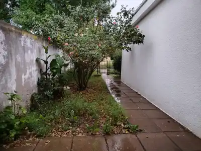 Santa Rosa se despertó con lluvia y una alerta que se extiende hasta la noche