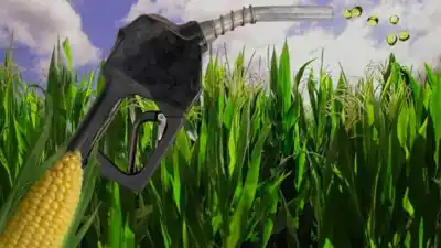 ¿Qué cambia en las naftas? Una resolución reaviva el debate energético