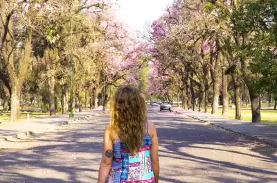 El calor no se va de Tucumán: lo que espera el SMN para la primera semana de la primavera