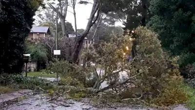 Tormenta en Tucumán: “Monteros entre los lugares que más llovió”