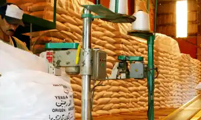Misiones exportó US$ 362 millones en ocho meses: la cifra que deja atrás a todo el NEA